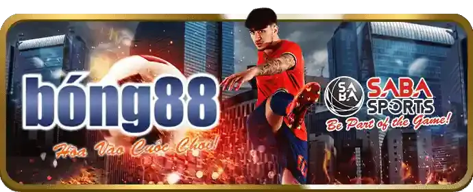 Cập nhật cá cược thể thao